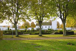 De store træer på kirkegården